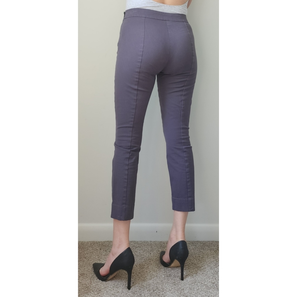 Everlane The Side Zip Stretch Pants in Gray 2